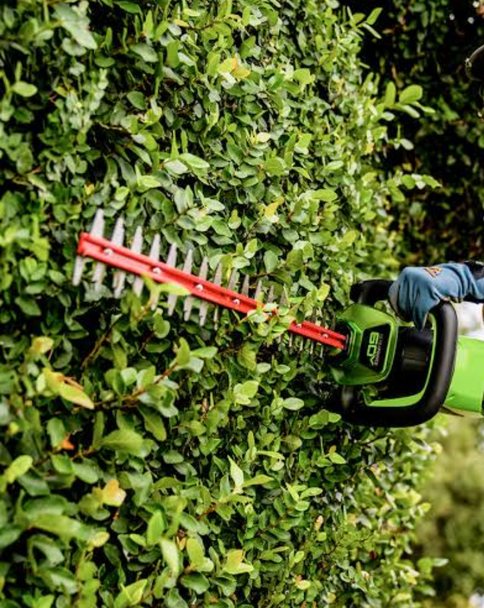 Hedge Trimmer - 440mm